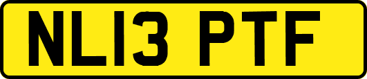 NL13PTF