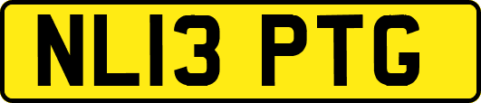 NL13PTG