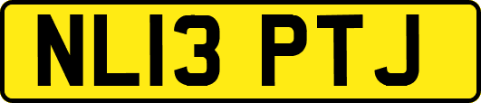 NL13PTJ
