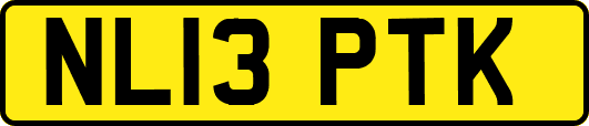 NL13PTK