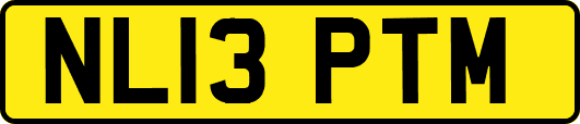 NL13PTM