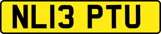 NL13PTU