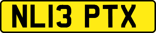 NL13PTX