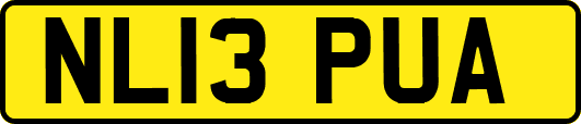 NL13PUA