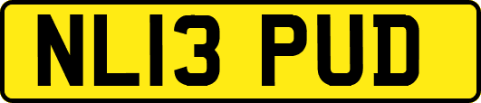 NL13PUD