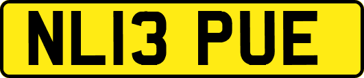 NL13PUE
