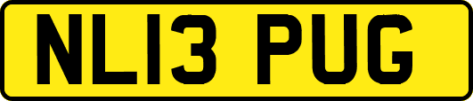 NL13PUG