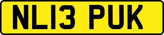 NL13PUK
