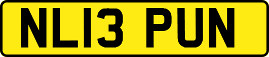 NL13PUN