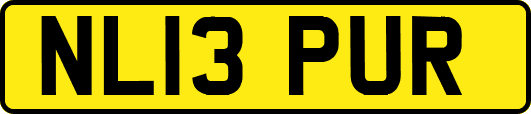 NL13PUR
