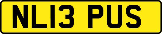 NL13PUS