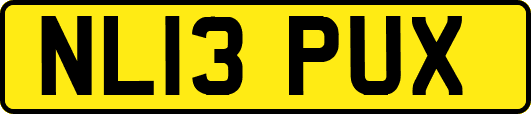 NL13PUX