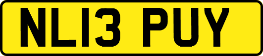 NL13PUY