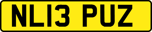 NL13PUZ