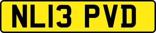 NL13PVD