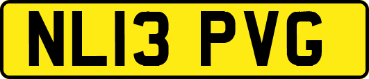 NL13PVG