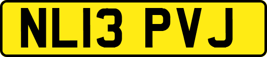NL13PVJ