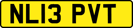 NL13PVT