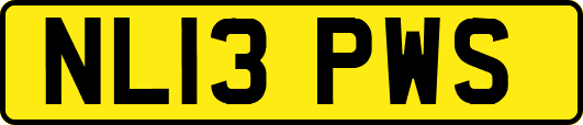 NL13PWS