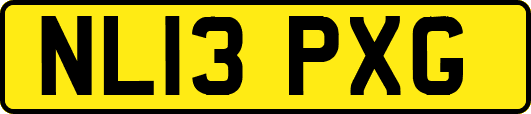 NL13PXG