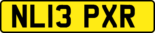 NL13PXR