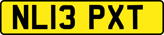 NL13PXT