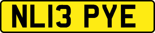 NL13PYE