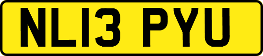NL13PYU