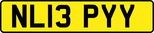NL13PYY