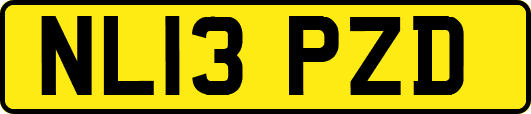 NL13PZD
