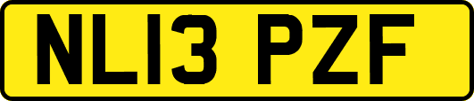 NL13PZF