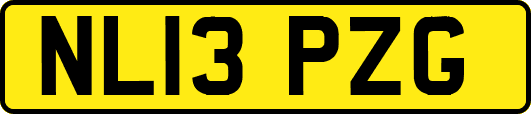 NL13PZG