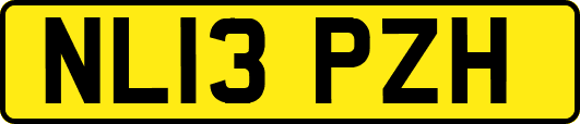 NL13PZH
