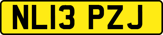 NL13PZJ