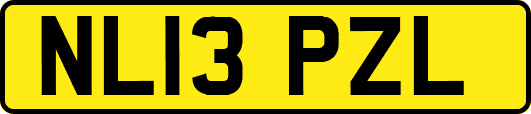 NL13PZL