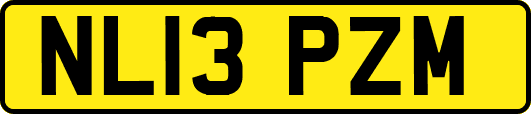 NL13PZM
