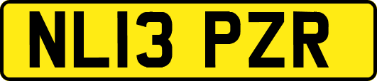 NL13PZR