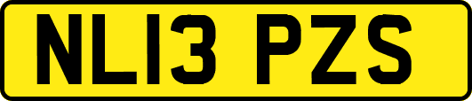 NL13PZS