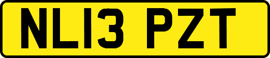 NL13PZT
