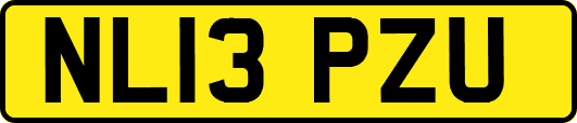 NL13PZU