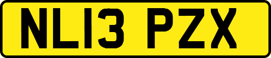 NL13PZX