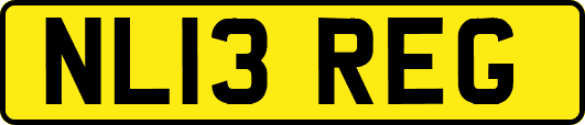 NL13REG