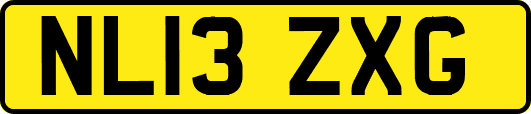 NL13ZXG