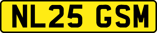 NL25GSM
