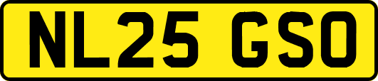 NL25GSO