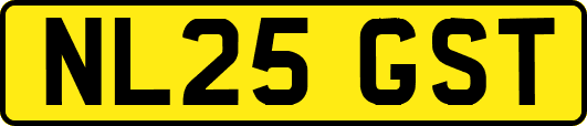 NL25GST