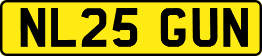 NL25GUN