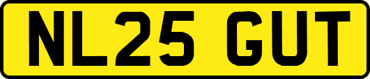 NL25GUT