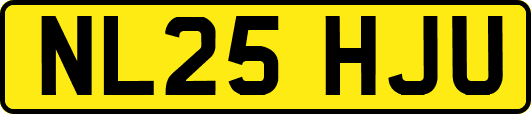 NL25HJU