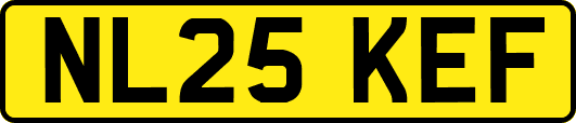 NL25KEF